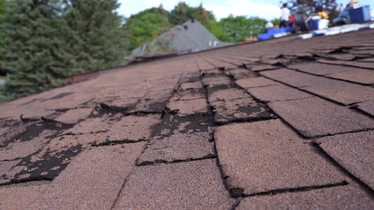 Best Gutter Installation and Repair  in Duvall, WA